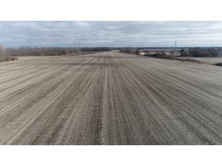 Farmland in Monroe & Washtenaw Counties, Michigan - ***SOLD PRIOR TO AUCTION*** - MICHIGAN LAND AUCTION - 1,436+/- ACRES OFFERED IN 26 TRACTS IN MONROE & WASHTENAW COUNTIES, MICHIGAN