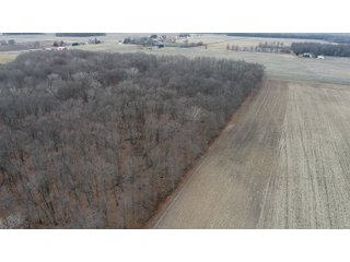 Farmland in Monroe & Washtenaw Counties, Michigan - ***SOLD PRIOR TO AUCTION*** - MICHIGAN LAND AUCTION - 1,436+/- ACRES OFFERED IN 26 TRACTS IN MONROE & WASHTENAW COUNTIES, MICHIGAN