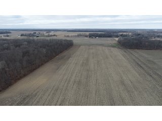 Farmland in Monroe & Washtenaw Counties, Michigan - ***SOLD PRIOR TO AUCTION*** - MICHIGAN LAND AUCTION - 1,436+/- ACRES OFFERED IN 26 TRACTS IN MONROE & WASHTENAW COUNTIES, MICHIGAN