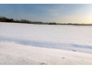Property photo 18 - FARMLAND AUCTION - 575 +/- ACRES OFFERED IN 9 TRACTS IN STEPHENSON COUNTY, IL (TRACTS 1 AND 2), BOONE COUNTY, IL (TRACTS 3-7), WINNEBAGO COUNTY, IL (TRACT 8) AND ROCK COUNTY, WI (TRACT 9)