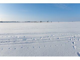 Property photo 24 - FARMLAND AUCTION - 575 +/- ACRES OFFERED IN 9 TRACTS IN STEPHENSON COUNTY, IL (TRACTS 1 AND 2), BOONE COUNTY, IL (TRACTS 3-7), WINNEBAGO COUNTY, IL (TRACT 8) AND ROCK COUNTY, WI (TRACT 9)