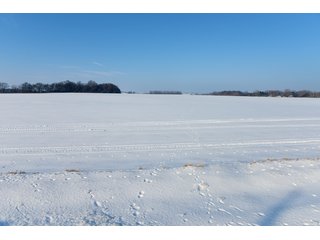 Property photo 26 - FARMLAND AUCTION - 575 +/- ACRES OFFERED IN 9 TRACTS IN STEPHENSON COUNTY, IL (TRACTS 1 AND 2), BOONE COUNTY, IL (TRACTS 3-7), WINNEBAGO COUNTY, IL (TRACT 8) AND ROCK COUNTY, WI (TRACT 9)