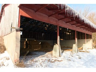 Property photo 28 - FARMLAND AUCTION - 575 +/- ACRES OFFERED IN 9 TRACTS IN STEPHENSON COUNTY, IL (TRACTS 1 AND 2), BOONE COUNTY, IL (TRACTS 3-7), WINNEBAGO COUNTY, IL (TRACT 8) AND ROCK COUNTY, WI (TRACT 9)