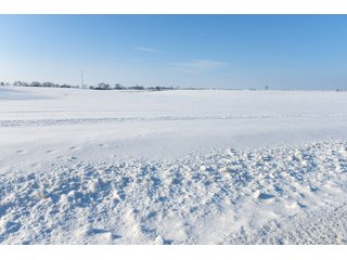 Property photo 21 - FARMLAND AUCTION - 575 +/- ACRES OFFERED IN 9 TRACTS IN STEPHENSON COUNTY, IL (TRACTS 1 AND 2), BOONE COUNTY, IL (TRACTS 3-7), WINNEBAGO COUNTY, IL (TRACT 8) AND ROCK COUNTY, WI (TRACT 9)