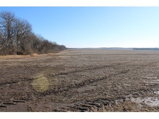 Cass County, Missouri Farmland - LAND AUCTION - 879+/- ACRES IN 26 TRACTS IN CASS COUNTY, MISSOURI