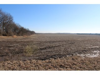 Cass County, Missouri Farmland - LAND AUCTION - 879+/- ACRES IN 26 TRACTS IN CASS COUNTY, MISSOURI
