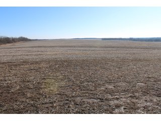 Cass County, Missouri Farmland - LAND AUCTION - 879+/- ACRES IN 26 TRACTS IN CASS COUNTY, MISSOURI