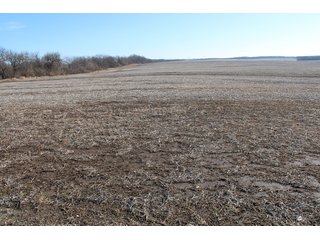 Cass County, Missouri Farmland - LAND AUCTION - 879+/- ACRES IN 26 TRACTS IN CASS COUNTY, MISSOURI