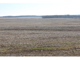 Cass County, Missouri Farmland - LAND AUCTION - 879+/- ACRES IN 26 TRACTS IN CASS COUNTY, MISSOURI