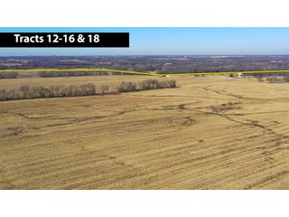 Cass County, Missouri Farmland - LAND AUCTION - 879+/- ACRES IN 26 TRACTS IN CASS COUNTY, MISSOURI