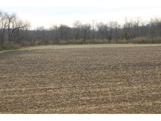 Tract 17 in Montgomery & St. Clair Counties, IL Farmland - ILLINOIS LAND AUCTION - 899+/- ACRES OFFERED IN 21 TRACTS IN MONTGOMERY & ST. CLAIR COUNTIES, ILLINOIS