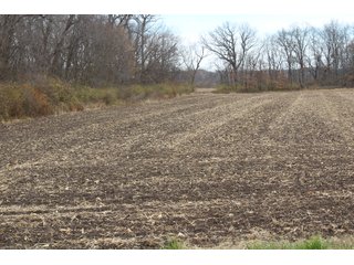 Tract 18 in Montgomery & St. Clair Counties, IL Farmland - ILLINOIS LAND AUCTION - 899+/- ACRES OFFERED IN 21 TRACTS IN MONTGOMERY & ST. CLAIR COUNTIES, ILLINOIS