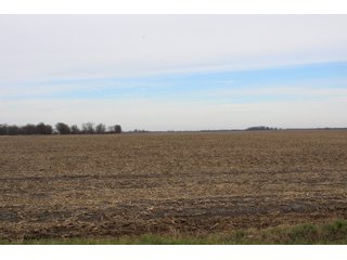 Tract 14 in Montgomery & St. Clair Counties, IL Farmland - ILLINOIS LAND AUCTION - 899+/- ACRES OFFERED IN 21 TRACTS IN MONTGOMERY & ST. CLAIR COUNTIES, ILLINOIS