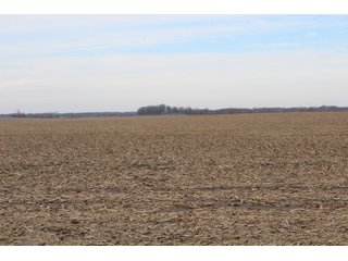Tract 13 in Montgomery & St. Clair Counties, IL Farmland - ILLINOIS LAND AUCTION - 899+/- ACRES OFFERED IN 21 TRACTS IN MONTGOMERY & ST. CLAIR COUNTIES, ILLINOIS
