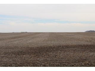 Tract 12 in Montgomery & St. Clair Counties, IL Farmland - ILLINOIS LAND AUCTION - 899+/- ACRES OFFERED IN 21 TRACTS IN MONTGOMERY & ST. CLAIR COUNTIES, ILLINOIS