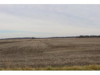 Tract 3 in Montgomery & St. Clair Counties, IL Farmland - ILLINOIS LAND AUCTION - 899+/- ACRES OFFERED IN 21 TRACTS IN MONTGOMERY & ST. CLAIR COUNTIES, ILLINOIS
