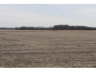 Tract 3 in Montgomery & St. Clair Counties, IL Farmland - ILLINOIS LAND AUCTION - 899+/- ACRES OFFERED IN 21 TRACTS IN MONTGOMERY & ST. CLAIR COUNTIES, ILLINOIS