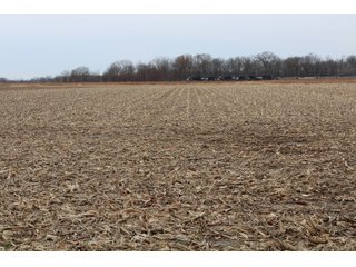 Tract 4 in Montgomery & St. Clair Counties, IL Farmland - ILLINOIS LAND AUCTION - 899+/- ACRES OFFERED IN 21 TRACTS IN MONTGOMERY & ST. CLAIR COUNTIES, ILLINOIS