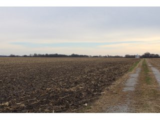 Tract 15 in Montgomery & St. Clair Counties, IL Farmland - ILLINOIS LAND AUCTION - 899+/- ACRES OFFERED IN 21 TRACTS IN MONTGOMERY & ST. CLAIR COUNTIES, ILLINOIS