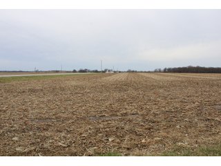 Tract 2 in Montgomery & St. Clair Counties, IL Farmland - ILLINOIS LAND AUCTION - 899+/- ACRES OFFERED IN 21 TRACTS IN MONTGOMERY & ST. CLAIR COUNTIES, ILLINOIS