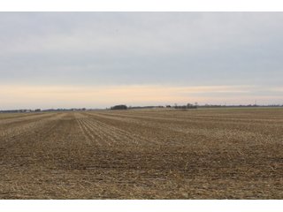 Tract 1 in Montgomery & St. Clair Counties, IL Farmland - ILLINOIS LAND AUCTION - 899+/- ACRES OFFERED IN 21 TRACTS IN MONTGOMERY & ST. CLAIR COUNTIES, ILLINOIS