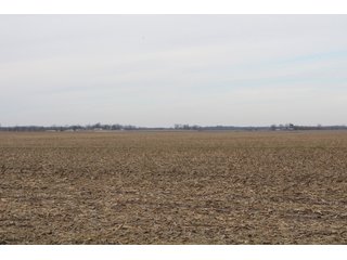 Tract 13 in Montgomery & St. Clair Counties, IL Farmland - ILLINOIS LAND AUCTION - 899+/- ACRES OFFERED IN 21 TRACTS IN MONTGOMERY & ST. CLAIR COUNTIES, ILLINOIS
