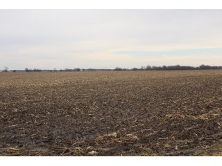 Tract 15 in Montgomery & St. Clair Counties, IL Farmland - ILLINOIS LAND AUCTION - 899+/- ACRES OFFERED IN 21 TRACTS IN MONTGOMERY & ST. CLAIR COUNTIES, ILLINOIS