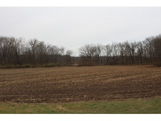 Tract 18 in Montgomery & St. Clair Counties, IL Farmland - ILLINOIS LAND AUCTION - 899+/- ACRES OFFERED IN 21 TRACTS IN MONTGOMERY & ST. CLAIR COUNTIES, ILLINOIS