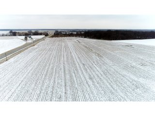 Tract 2 in Montgomery & St. Clair Counties, IL Farmland - ILLINOIS LAND AUCTION - 899+/- ACRES OFFERED IN 21 TRACTS IN MONTGOMERY & ST. CLAIR COUNTIES, ILLINOIS