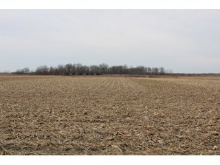 Tract 4 in Montgomery & St. Clair Counties, IL Farmland - ILLINOIS LAND AUCTION - 899+/- ACRES OFFERED IN 21 TRACTS IN MONTGOMERY & ST. CLAIR COUNTIES, ILLINOIS