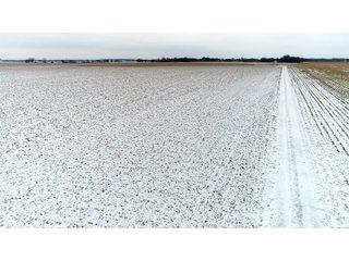 Tract 6 in Montgomery & St. Clair Counties, IL Farmland - ILLINOIS LAND AUCTION - 899+/- ACRES OFFERED IN 21 TRACTS IN MONTGOMERY & ST. CLAIR COUNTIES, ILLINOIS