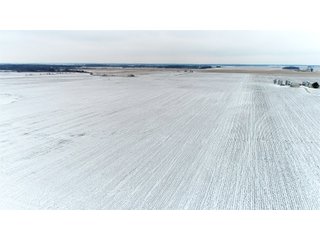 Property photo 1 - ILLINOIS LAND AUCTION - 899+/- ACRES OFFERED IN 21 TRACTS IN MONTGOMERY & ST. CLAIR COUNTIES, ILLINOIS