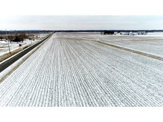 Property photo 2 - ILLINOIS LAND AUCTION - 899+/- ACRES OFFERED IN 21 TRACTS IN MONTGOMERY & ST. CLAIR COUNTIES, ILLINOIS