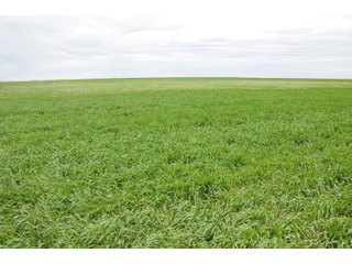 DEUEL, KEITH AND PERKINS COUNTIES, NEBRASKA FARMLAND - NEBRASKA REAL ESTATE AUCTION - 12,027+/- ACRES OFFERED IN 33 TRACTS IN DEUEL, KEITH AND PERKINS COUNTIES, NEBRASKA