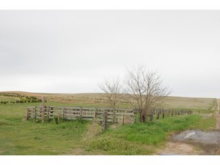 DEUEL, KEITH AND PERKINS COUNTIES, NEBRASKA FARMLAND - NEBRASKA REAL ESTATE AUCTION - 12,027+/- ACRES OFFERED IN 33 TRACTS IN DEUEL, KEITH AND PERKINS COUNTIES, NEBRASKA