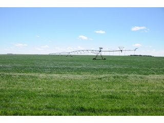 DEUEL, KEITH AND PERKINS COUNTIES, NEBRASKA FARMLAND - NEBRASKA REAL ESTATE AUCTION - 12,027+/- ACRES OFFERED IN 33 TRACTS IN DEUEL, KEITH AND PERKINS COUNTIES, NEBRASKA