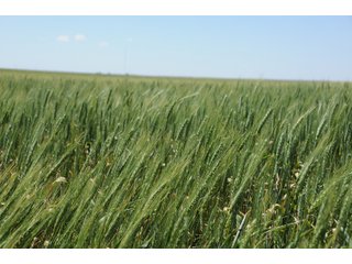 DEUEL, KEITH AND PERKINS COUNTIES, NEBRASKA FARMLAND - NEBRASKA REAL ESTATE AUCTION - 12,027+/- ACRES OFFERED IN 33 TRACTS IN DEUEL, KEITH AND PERKINS COUNTIES, NEBRASKA