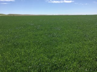 DEUEL, KEITH AND PERKINS COUNTIES, NEBRASKA FARMLAND - NEBRASKA REAL ESTATE AUCTION - 12,027+/- ACRES OFFERED IN 33 TRACTS IN DEUEL, KEITH AND PERKINS COUNTIES, NEBRASKA