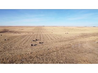 DEUEL, KEITH AND PERKINS COUNTIES, NEBRASKA FARMLAND - NEBRASKA REAL ESTATE AUCTION - 12,027+/- ACRES OFFERED IN 33 TRACTS IN DEUEL, KEITH AND PERKINS COUNTIES, NEBRASKA