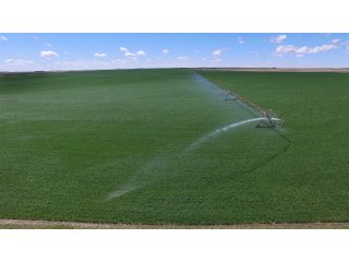DEUEL, KEITH AND PERKINS COUNTIES, NEBRASKA FARMLAND - NEBRASKA REAL ESTATE AUCTION - 12,027+/- ACRES OFFERED IN 33 TRACTS IN DEUEL, KEITH AND PERKINS COUNTIES, NEBRASKA