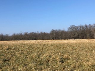Union & Wayne Counties, Indiana - ***SOLD PRIOR TO AUCTION*** LAND AUCTION - 172+/- ACRES OFFERED IN 4 TRACTS IN UNION & WAYNE COUNTY, INDIANA
