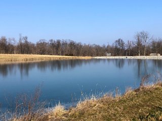 Union & Wayne Counties, Indiana Pond - ***SOLD PRIOR TO AUCTION*** LAND AUCTION - 172+/- ACRES OFFERED IN 4 TRACTS IN UNION & WAYNE COUNTY, INDIANA