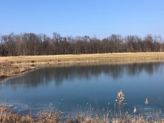 Union & Wayne Counties, Indiana Pond - ***SOLD PRIOR TO AUCTION*** LAND AUCTION - 172+/- ACRES OFFERED IN 4 TRACTS IN UNION & WAYNE COUNTY, INDIANA