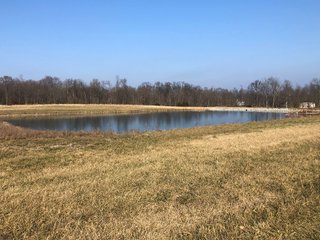 Union & Wayne Counties, Indiana Pond - ***SOLD PRIOR TO AUCTION*** LAND AUCTION - 172+/- ACRES OFFERED IN 4 TRACTS IN UNION & WAYNE COUNTY, INDIANA