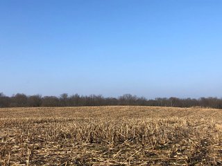Union & Wayne Counties, Indiana Farmland - ***SOLD PRIOR TO AUCTION*** LAND AUCTION - 172+/- ACRES OFFERED IN 4 TRACTS IN UNION & WAYNE COUNTY, INDIANA