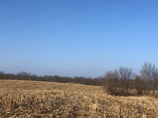 Union & Wayne Counties, Indiana Woods - ***SOLD PRIOR TO AUCTION*** LAND AUCTION - 172+/- ACRES OFFERED IN 4 TRACTS IN UNION & WAYNE COUNTY, INDIANA