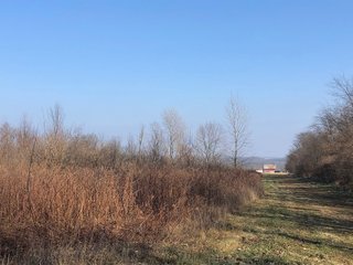 Union & Wayne Counties, Indiana Woods - ***SOLD PRIOR TO AUCTION*** LAND AUCTION - 172+/- ACRES OFFERED IN 4 TRACTS IN UNION & WAYNE COUNTY, INDIANA