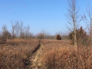 Union & Wayne Counties, Indiana Woods - ***SOLD PRIOR TO AUCTION*** LAND AUCTION - 172+/- ACRES OFFERED IN 4 TRACTS IN UNION & WAYNE COUNTY, INDIANA