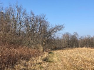 Union & Wayne Counties, Indiana Woods - ***SOLD PRIOR TO AUCTION*** LAND AUCTION - 172+/- ACRES OFFERED IN 4 TRACTS IN UNION & WAYNE COUNTY, INDIANA