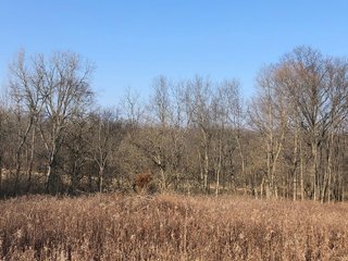 Union & Wayne Counties, Indiana Woods - ***SOLD PRIOR TO AUCTION*** LAND AUCTION - 172+/- ACRES OFFERED IN 4 TRACTS IN UNION & WAYNE COUNTY, INDIANA